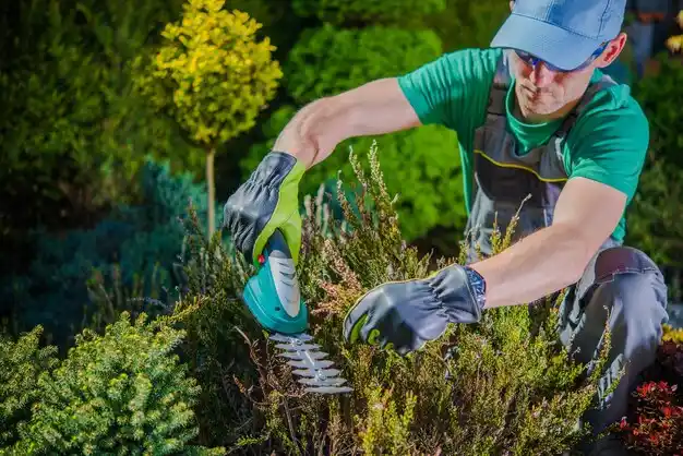 landscaping services Bradner